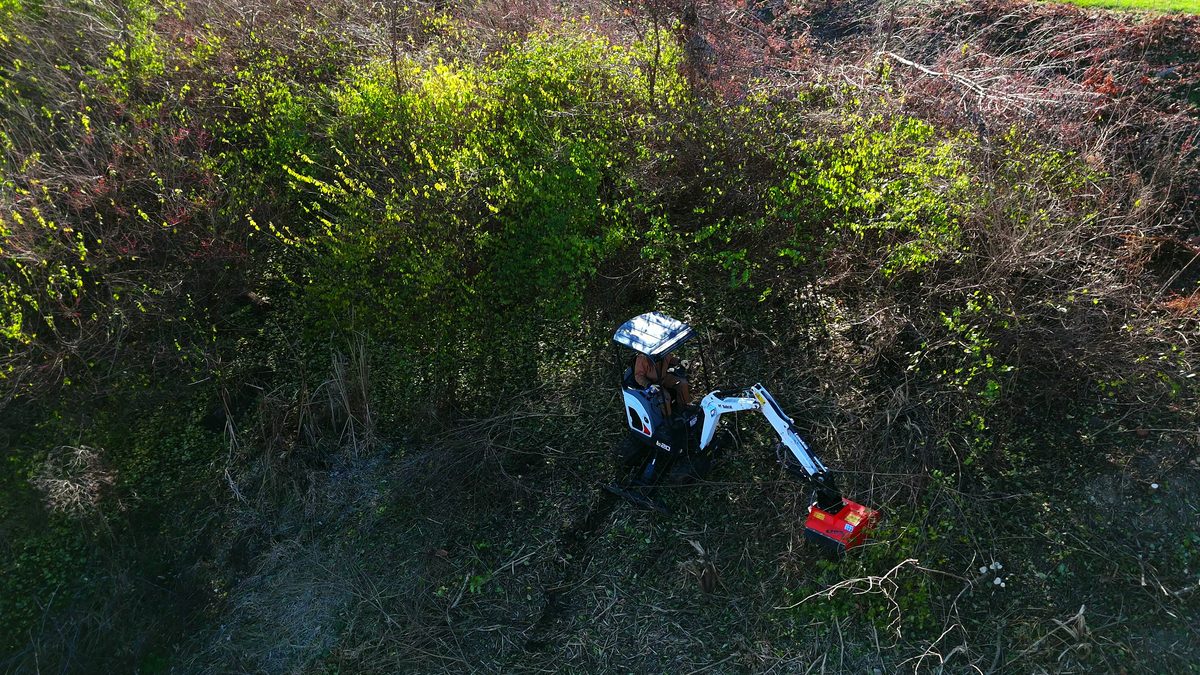 Aerial View — Land Clearing