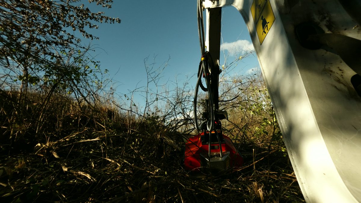 Flail Mower in Action