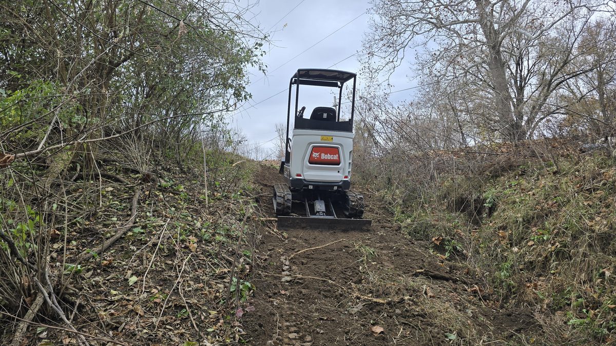 Wooded Hillside Clearing