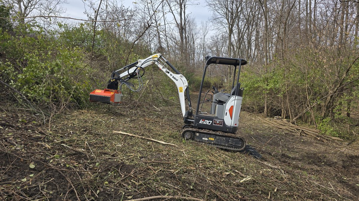Brush Clearing with Flail Mower